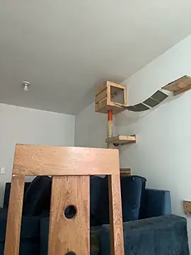 Snapshot of SofiaG_ chatting on 12/27/24, 07:35 SofiaG  online show from 12/27/24, 07:35