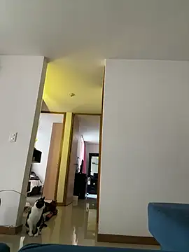 Snapshot of SofiaG_ chatting on 01/22/25, 02:24 SofiaG  online show from 01/22/25, 02:24