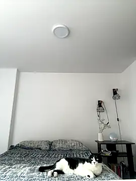 Snapshot of SofiaG_ chatting on 10/04/25, 07:01 SofiaG  online show from 10/04/25, 07:01