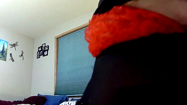 Snapshot of lilyhornyhousewife chatting on 12/23/24, 10:55 lilyhornyhousewife online show from 12/23/24, 10:55