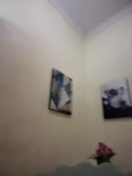 Snapshot of MaverickGray chatting on 01/26/25, 04:41 MaverickGray online show from 01/26/25, 04:41