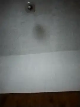 Xtrem3HARDxxx online show from 12/12/24, 06:14