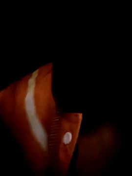 ale3J4a online show from 02/02/25, 06:48