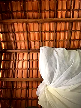 Snapshot of sammoura01 chatting on 09/12/25, 04:51 sammoura01 online show from 09/12/25, 04:51