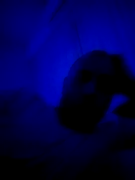 HELL FIRE online show from 09/30/25, 05:23