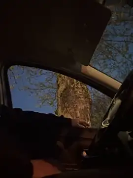 ilmarchino90 online show from 04/07/26, 06:30