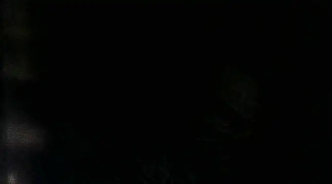 RenziTatte online show from 03/22/25, 02:16