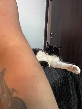 Snapshot of Leahstonee2 chatting on 02/12/25, 12:05 Leahstonee2 online show from 02/12/25, 12:05