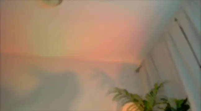  cherry bloss  online show from 03/04/25, 12:29