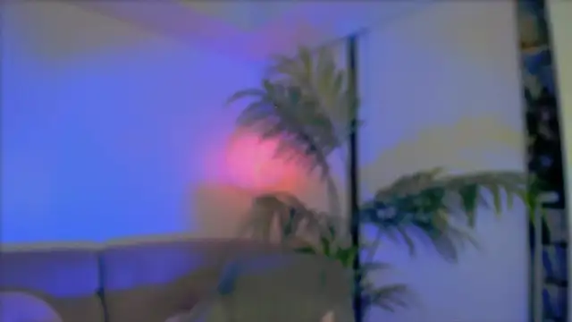  cherry bloss  online show from 10/08/25, 02:20