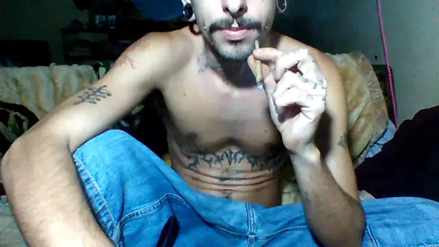 Snapshot of sellvageria chatting on 12/01/25, 08:03 sellvageria online show from 12/01/25, 08:03