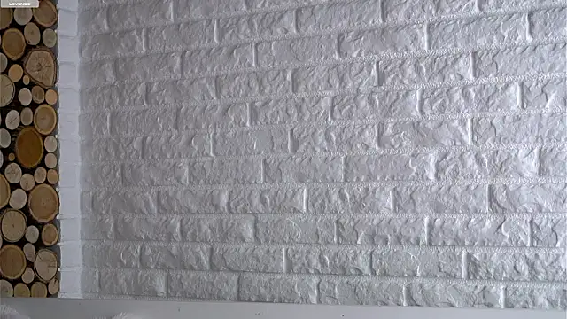 Snapshot of LowOncoming chatting on 03/10/26, 01:10 LowOncoming online show from 03/10/26, 01:10