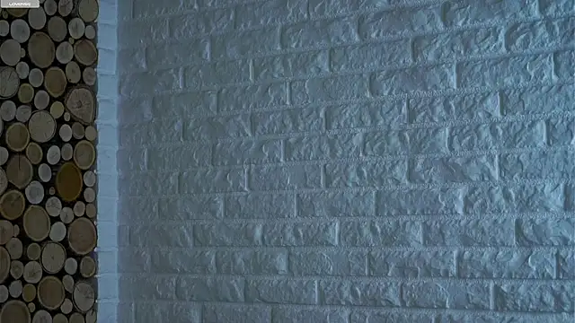 Snapshot of LowOncoming chatting on 03/15/26, 02:06 LowOncoming online show from 03/15/26, 02:06