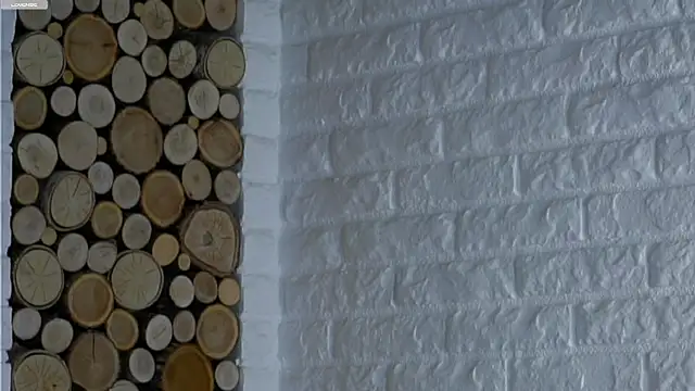 Snapshot of LowOncoming chatting on 03/23/26, 12:36 LowOncoming online show from 03/23/26, 12:36