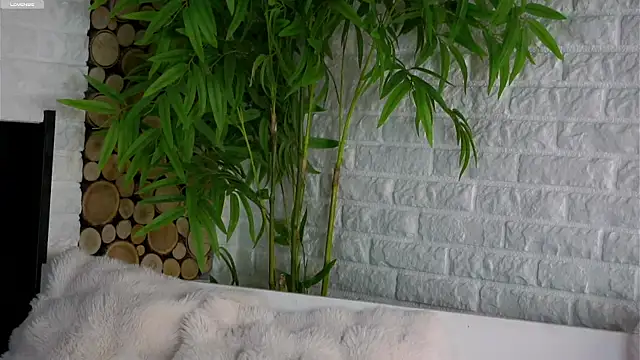 Snapshot of LowOncoming chatting on 03/25/26, 01:55 LowOncoming online show from 03/25/26, 01:55