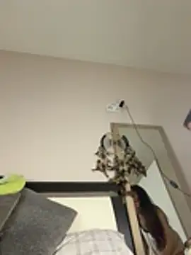 Snapshot of SOFIASWEETSECRETT chatting on 03/28/26, 04:28 SOFIASWEETSECRETT online show from 03/28/26, 04:28