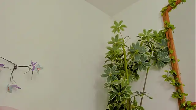 BonnieCute  online show from 03/17/26, 11:41