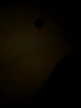 sluttydylan online show from 12/17/25, 09:04