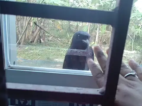 Snapshot of Unlucky-flowers chatting on 03/15/26, 07:36 Unlucky-flowers online show from 03/15/26, 07:36