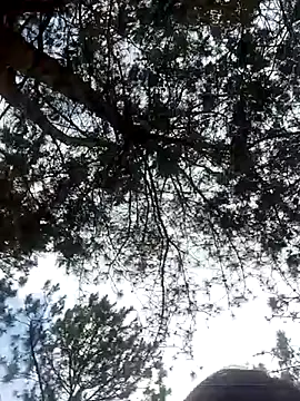 Sofia xx2 online show from 02/27/25, 08:50