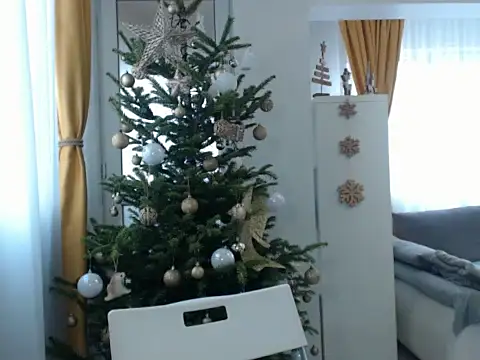 Snapshot of GoldenMark chatting on 12/20/24, 12:05 GoldenMark online show from 12/20/24, 12:05