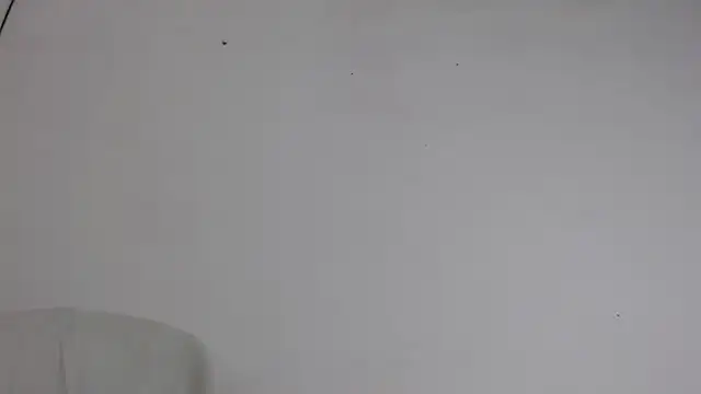 Niurca01  online show from 10/05/25, 10:51