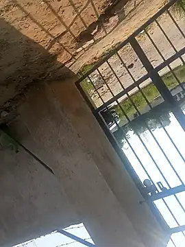 rjxraj online show from 10/23/25, 04:34