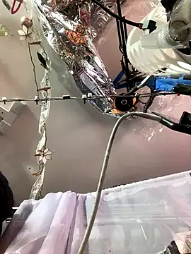 Snapshot of gurlnips chatting on 11/26/25, 06:25 gurlnips online show from 11/26/25, 06:25