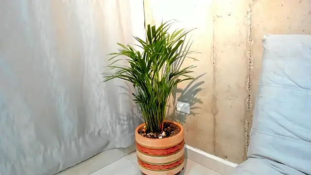 Alan greek 1 online show from 01/31/25, 01:33