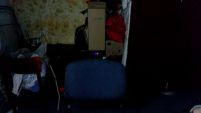 HilmarZ online show from 01/28/25, 04:30