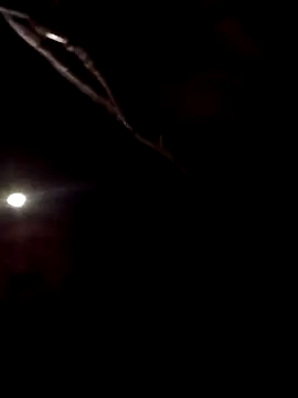 Snapshot of SInfiniSensation1 chatting on 04/23/26, 10:01 SInfiniSensation1 online show from 04/23/26, 10:01