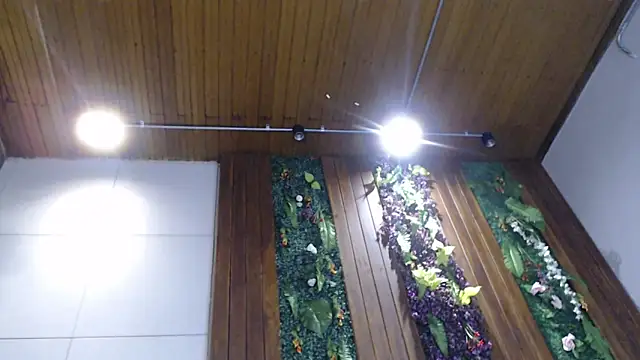 Snapshot of DrakeNeumann chatting on 02/05/25, 11:06 DrakeNeumann online show from 02/05/25, 11:06