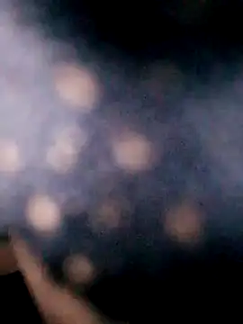 Hotpussy3ox online show from 09/18/25, 08:05