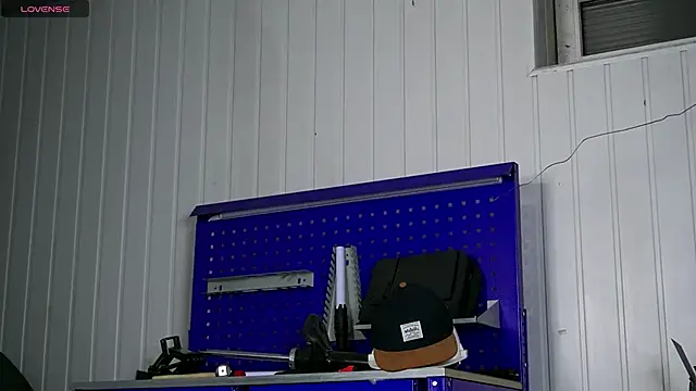 dustyn fox online show from 11/14/25, 03:11