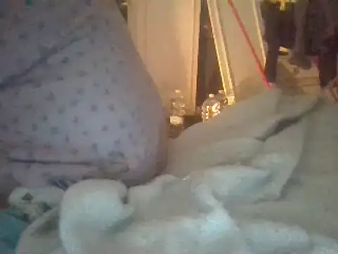 Snapshot of biuv chatting on 03/18/25, 10:36 biuv online show from 03/18/25, 10:36