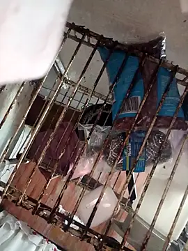 LunaDrago online show from 02/23/25, 12:51