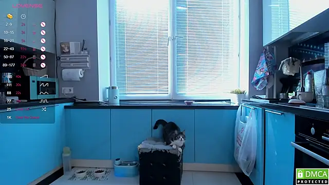 Snapshot of wwildfox chatting on 03/16/26, 05:44 wwildfox online show from 03/16/26, 05:44