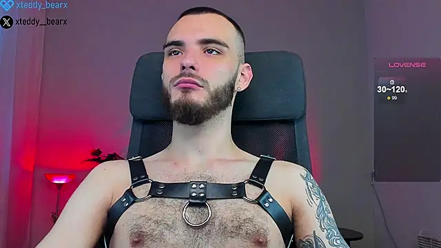 xteddy bear online show from 01/18/25, 09:24