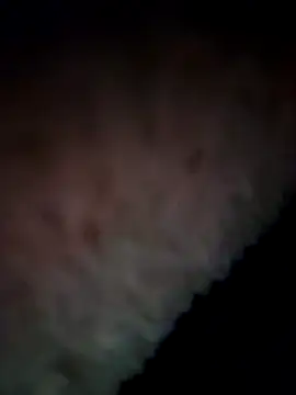 07YUKIO online show from 12/31/24, 03:31