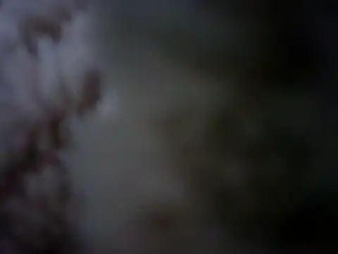 07YUKIO online show from 01/24/25, 10:08