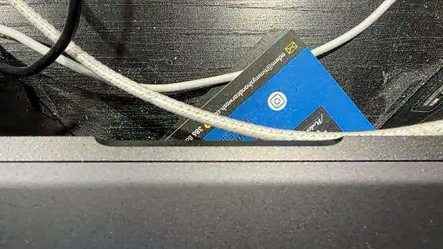 TinyTraps online show from 12/17/24, 02:11