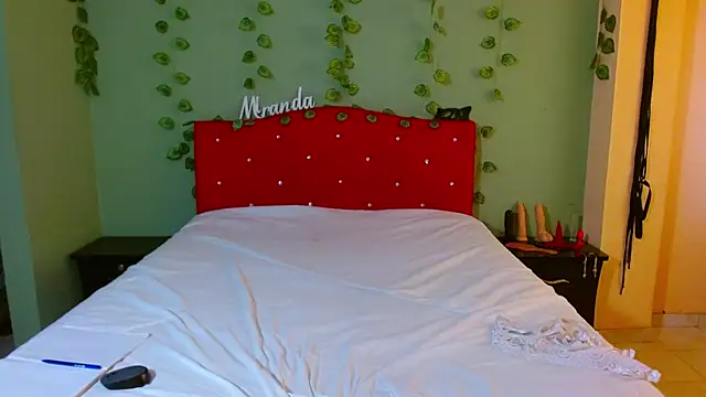 Snapshot of MirandaDream2 chatting on 12/01/25, 02:33 MirandaDream2 online show from 12/01/25, 02:33