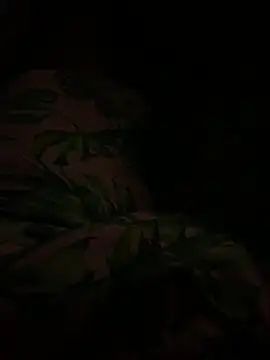 Snapshot of smithrosinha chatting on 02/11/25, 04:44 smithrosinha online show from 02/11/25, 04:44