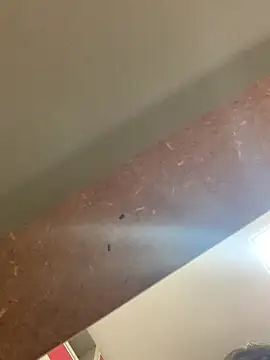 Snapshot of smithrosinha chatting on 09/19/25, 05:24 smithrosinha online show from 09/19/25, 05:24