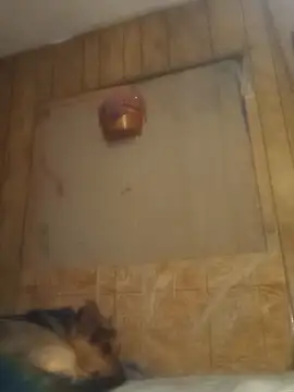 Snapshot of luke_thighwalker2469 chatting on 02/15/25, 01:16 luke thighwalker2469 online show from 02/15/25, 01:16