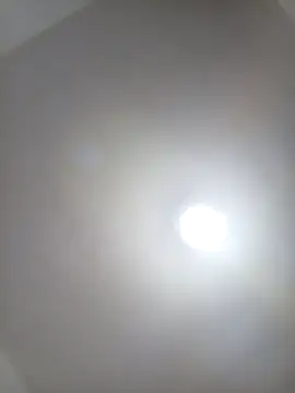 Joagorditahot online show from 11/30/25, 11:14