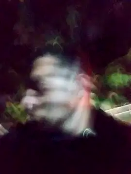 Snapshot of mis312 chatting on 03/04/25, 01:45 mis312 online show from 03/04/25, 01:45