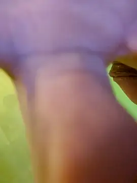 jorwee online show from 01/15/25, 07:26