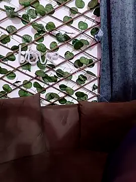 Bold-Cat online show from 02/07/25, 06:02