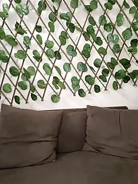 Bold-Cat online show from 10/02/25, 08:16